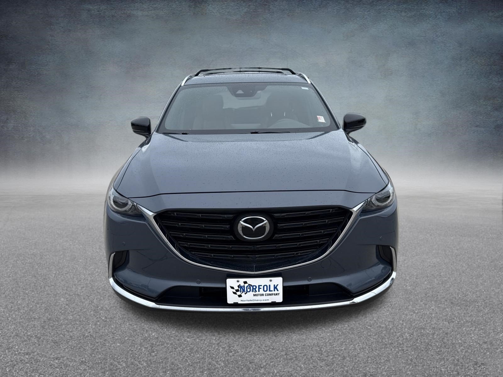 2021 Mazda Mazda CX-9 Carbon Edition